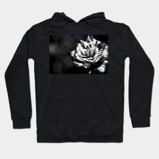 Different but beautiful, black and white rose flower photography Hoodie